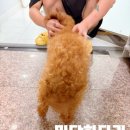 놀러왕왕왕 네이버블로그