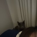 조일프라자 | 2025년 10월 황금연휴요? 그게 뭐죠?