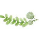 수원종묘농약사 이미지