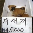 잠홍 이미지