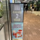 마이아지트 | 판교역카페 디저트39 카카오판교아지트점 방문 후기