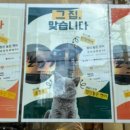 소츠우 이미지