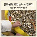 웅상문화체육센터 유아놀이방 | [육아일기/11개월] 아기 롯데백화점 문화센터 대전점 수강 후기(촉감놀이 베이비붐, 곡식 놀이, 준비물)