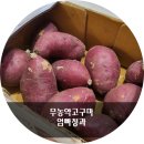 대강청과