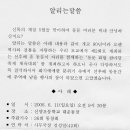신양초교 이미지