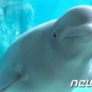 롯데월드아쿠아리움 이미지