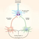 시장이 반찬 이미지