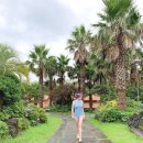 팜밸리리조트 이미지