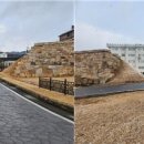 두그루나무 이미지