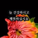 천년지기 - 평택시 | 천년지기