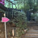 더블링독 이미지