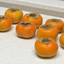 코사할인마트 | 메리메리크리스마스 12월.zip📁