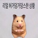 한의대로L | 한의대 본 3, 드디어 블로그 시작?!? (Feat. QnA)