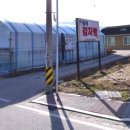 둥지감자탕 이미지