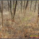 장암보건진료소 이미지