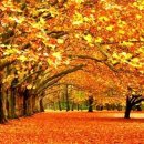 가을 여행은 즐겁다 이미지