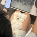 예술사진관 이미지