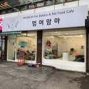 프리미엄 펫베이커리&펫푸드카페 멈머맘마 이미지