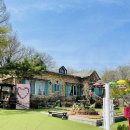 모모공방&카페 | 🍀🍽️ 인천 계양구 모모아트 브런치 카페 후기, 야외정원·아이·애견 모두 가능한 공간
