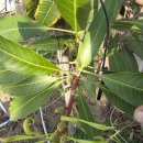 현풍농장 이미지