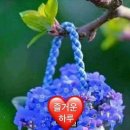 좋구나