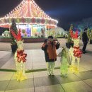 빛남매네 헬시푸드 | 함평 겨울빛축제 2025 기본정보 &amp; 먹거리: 엑스포공원 입장료 0원 솔직 후기 (함평크리스마스)