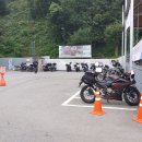 숲속의향기 이미지