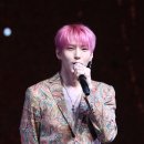 레오 티브이데일리