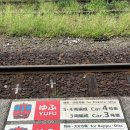 댕's day | 2박 3일 추석 여행 Day 2 | 하카타 키와미야 함바그...락커, 아뮤플라자 코인락커, 종크호텔 나카스 후기