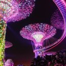 스타투어여행사