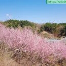 남송농장 이미지