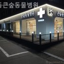 강동큰숲동물병원 이미지