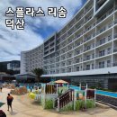 스테이덕산 | 덕산 스플라스리솜 S30 스테이클린룸 후기 – 아이와 함께 가기 좋은 리조트!