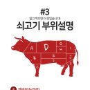 고기선생