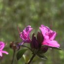 비발디세탁소 이미지