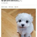 먹자 네이버블로그
