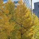 부흥미용실 - 남원시 검멀2길 4 | 레이어드컷 처돌이의 아르결 성수 미용실 후기