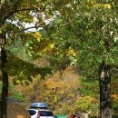 강원도 정선 졸드루 야영장 후기 (2008.10.24~10.26)_11번째 캠핑