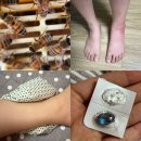 이봉휘내과의원 | 벌 쏘였을 때 병원 연고 대처 등 후기