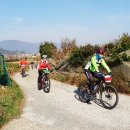 블루시티 이미지