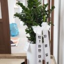 부천맥스웰의원 네이버블로그