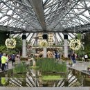 부국개발주식회사 여미지식물원 이미지