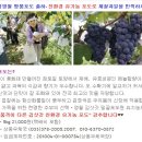 상동우체국 이미지