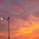 도원선착장 이미지