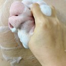 (주)드림바디 | 와이트닝 스크럽바디워시 사용후기/피부 오돌토돌 잡아주는 향좋은 바디워시 추천!