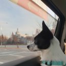 어서타개 이미지