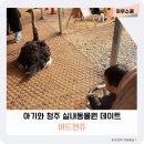 연이동물원 | 청주 아기와 실내동물원 키즈카페 데이트하기 좋은 버드앤쥬