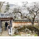 선암사 이미지