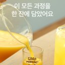 헬스모닝 | 내돈내산 타이거모닝 진저샷 솔직 후기 | 아침 공복에 마셔본 리얼 리뷰