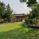 솔바람 힐링하우스 네이버블로그